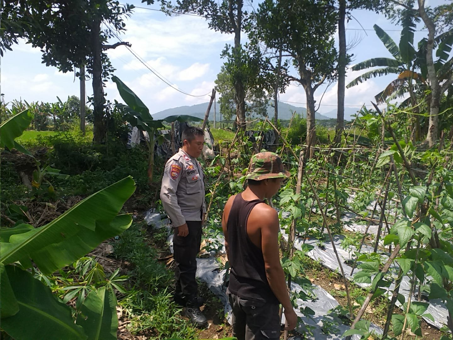 Polsek Kuripan Dorong Ketahanan Pangan, Warga Antusias!