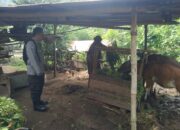 Ketahanan Pangan dari Rumah: Polri Ajak Warga Tanam Sayur di Pekarangan