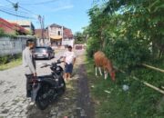 Sosialisasi Pangan Sehat: Bhabinkamtibmas Ajak Warga Tanam Sayur