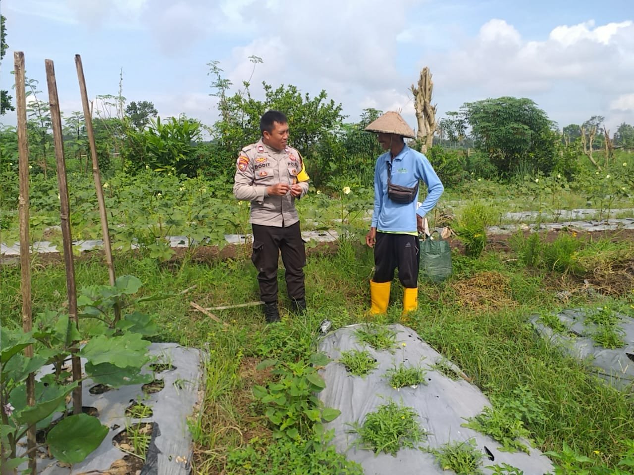 Bhabinkamtibmas Desa Jagaraga Aktif Sosialisasi Ketahanan Pangan, Warga Antusias Menyambut