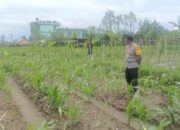 Silaturahmi Polisi dan Petani, Perkuat Pangan dan Keamanan Desa Beleka