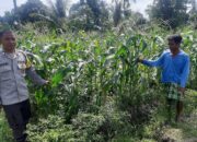 Kunjungan Bhabinkamtibmas di Lombok Barat Dorong Produksi Pangan