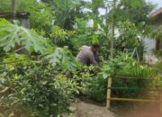 Inovasi Ketahanan Pangan di Suka Makmur: Kolaborasi Warga dan Bhabinkamtibmas