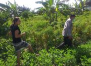 Ketahanan Pangan Desa Jagaraga Diperkuat Lewat Pendampingan Polri