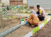 Dari Pekarangan ke Pangan: Inisiatif Warga Batusamban untuk Swasembada