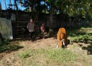 Bhabinkamtibmas Aktif Edukasi Pertanian di Desa Senggigi