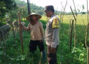 Sinergi Polri-Masyarakat di Lombok Barat untuk Kemandirian Pangan