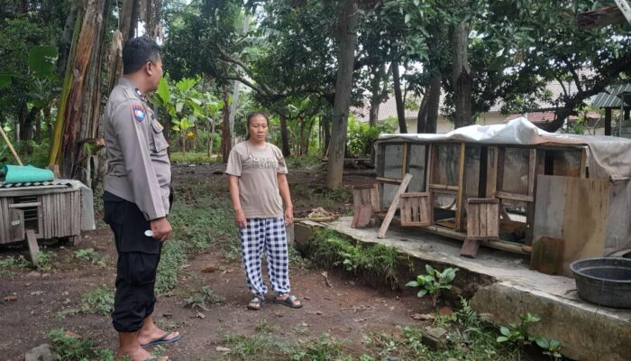 Dukung Program Pangan, Bhabinkamtibmas Aktif Edukasi Petani Senggigi