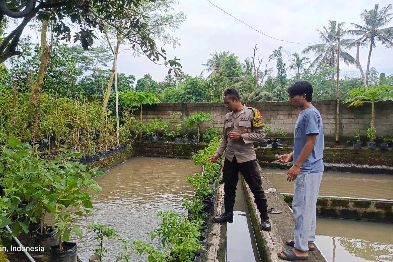Ketahanan Pangan Dimulai dari Dusun Pesongoran, Lombok Barat