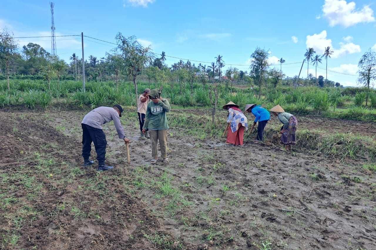 Peran Polri Dalam Swasembada Pangan di Sekotong, NTB