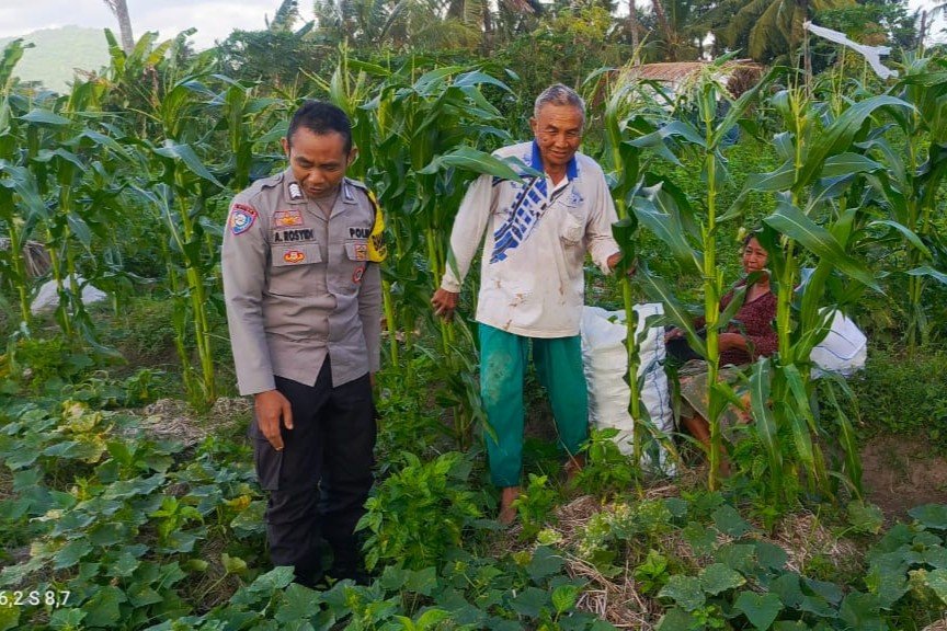Petani Kuripan Utara Terapkan Inovasi Pertanian Didukung Polri