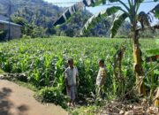 Dukung Petani Desa Sekotong Timur, Polri Lakukan Pendataan Lahan