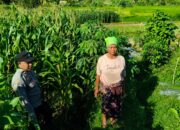 Polsek Lembar Dampingi Warga Mareje Timur Atur Tanam Jagung