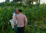 Peran Aktif Bhabinkamtibmas dalam Pertanian Lombok Barat