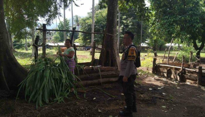 Sinergi Polri-Masyarakat Bangun Ketahanan Pangan Lokal di Batulayar