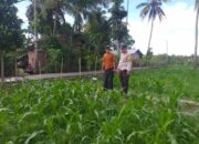 Pendekatan DDS Jadi Strategi Polri Bangun Kamtibmas Pertanian di Kuripan Timur