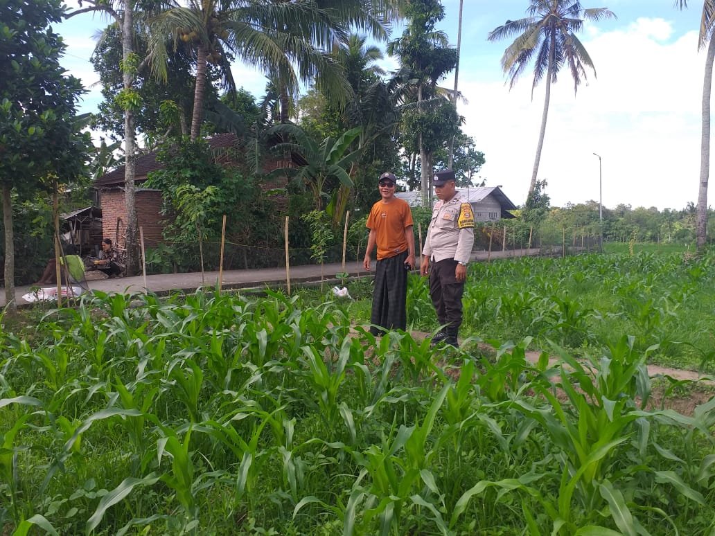 Pendekatan DDS Jadi Strategi Polri Bangun Kamtibmas Pertanian