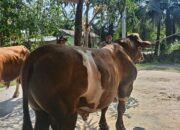 Ketua Bhayangkari Daerah Bengkulu Salurkan Bantuan Kemanusiaan bagi Korban Gempa