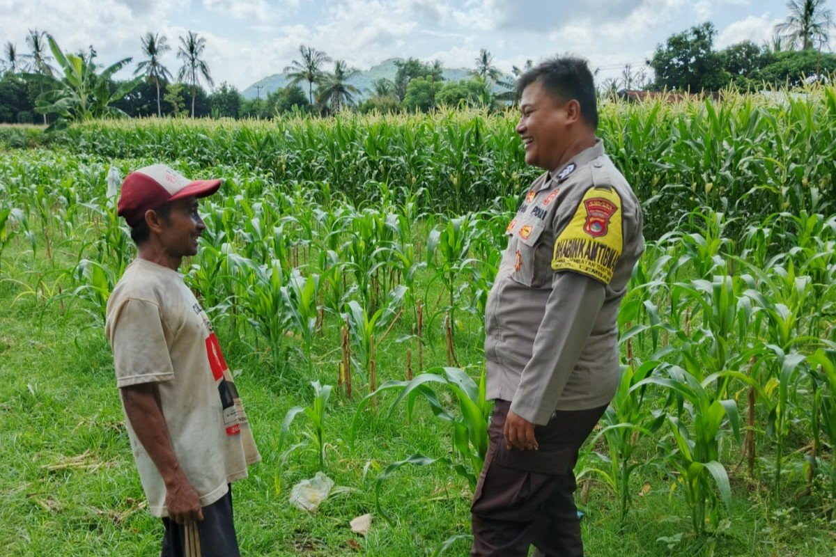Polres Lombok Barat Dorong Ketahanan Pangan Desa Jembatan Gantung