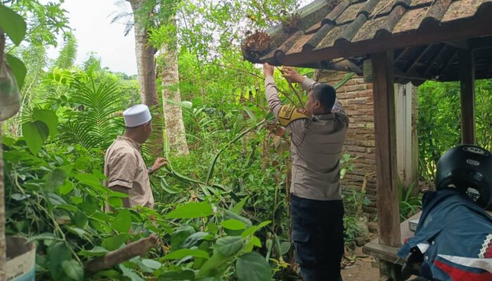 Ketahanan Pangan Dimulai dari Desa: Aksi Humanis Polri di Sekotong, Lombok Barat