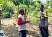 Dari Pekarangan ke Piring: Inisiatif Ketahanan Pangan di Dusun Timur Utara Rumak