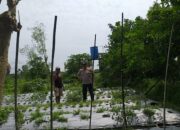 Ketahanan Pangan Jadi Prioritas: Kolaborasi Polisi dan Petani di Kecamatan Kuripan