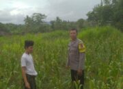 Bhabinkamtibmas Desa Sekotong Tengah Gencarkan Edukasi Ketahanan Pangan