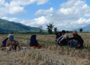 Bhabinkamtibmas Babussalam Gencarkan Program Pangan Nasional di Tingkat Desa