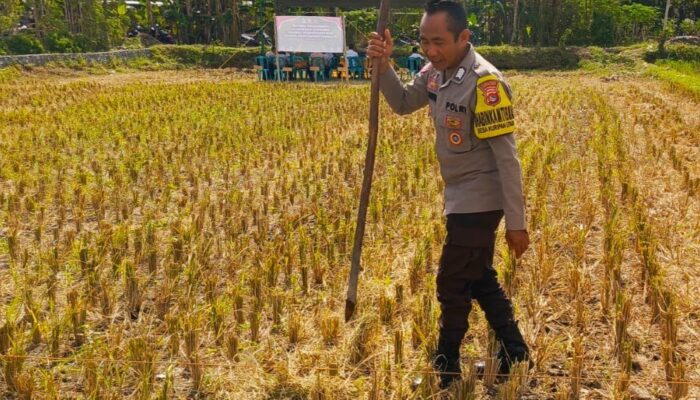 Polsek Kuripan Apresiasi Langkah Humanis Bhabinkamtibmas Dukung Petani Lokal