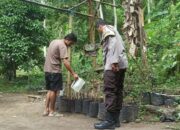 Program Pekarangan Bergizi di Batulayar: Upaya Kolektif Bangun Ketahanan Pangan