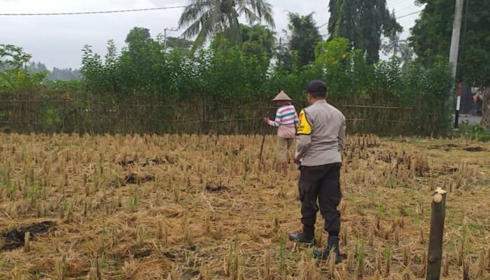 Ketahanan Pangan Dimulai dari Rumah: Polsek Kuripan Tunjukkan Aksi Nyata