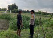 Polri Bina Petani Kuripan Utara Wujudkan Kemandirian Pangan Keluarga
