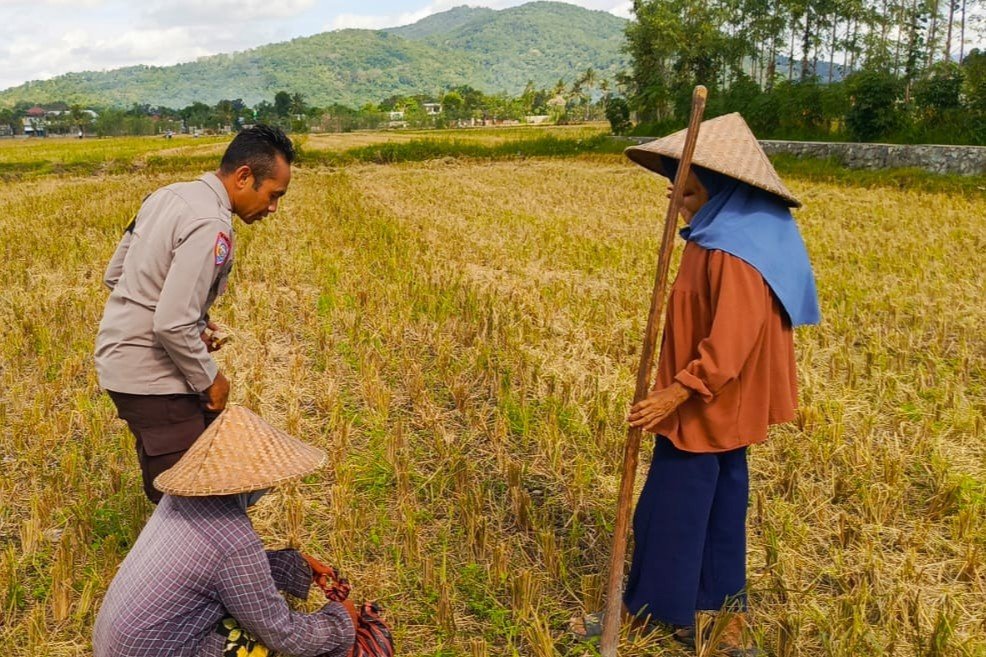 Sinergi Polsek Kuripan dan Petani Iting Langgem, Dukung Swasembada Pangan Lokal
