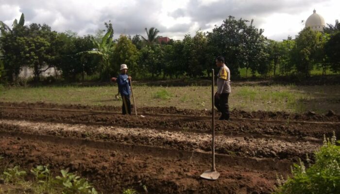 Dusun Plowok Selatan Jadi Contoh Kolaborasi Ketahanan Pangan