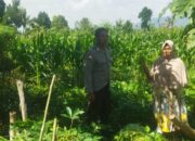 Pendekatan Humanis Polri di Sawah Karang Kuripan: Wujudkan Pangan Aman