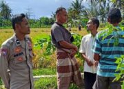 Peran Polisi di Tengah Sawah: Ketahanan Pangan Dimulai dari Dusun Rumak Barat