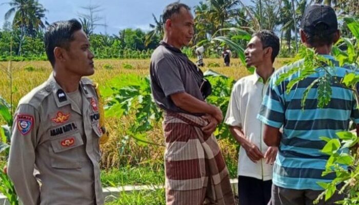 Peran Polisi di Tengah Sawah: Ketahanan Pangan Dimulai dari Dusun Rumak Barat