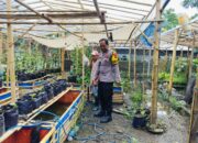 Ajak Tanam Cabai hingga Tomat, Bhabinkamtibmas Bangkitkan Semangat Bertani di Bajur