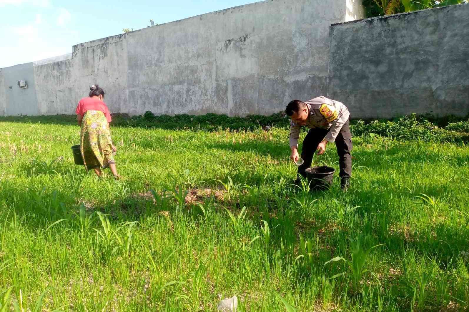 Polri di Lombok Barat Gencarkan Pemanfaatan Lahan Tidur untuk Ketahanan Pangan