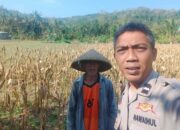 Bhabinkamtibmas Eyat Mayang Bangun Kedekatan dengan Petani untuk Wujudkan Swasembada Pangan