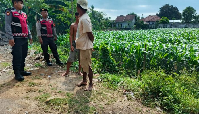 Pengamanan Penanaman Jagung di Desa Gerung, Polri Hadir Jaga Kondusivitas Pertanian
