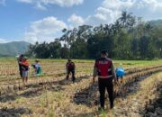 Polri dan Petani Kebon Ayu Bersinergi Wujudkan Swasembada Pangan