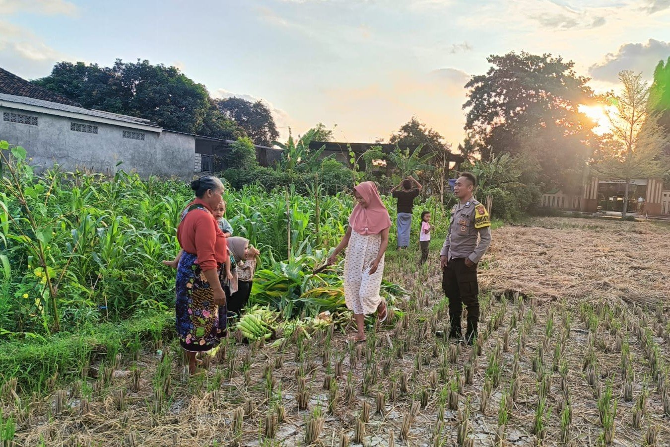 Polsek Kuripan Dukung Ketahanan Pangan di Dusun Pelulan Lewat Sosialisasi ke Petani Jagung