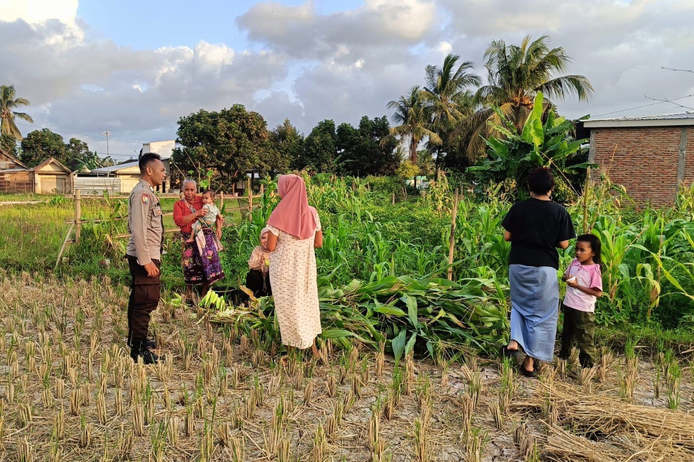 Polsek Kuripan Dukung Petani Jagung di Kumbung Barat Wujudkan Ketahanan Pangan