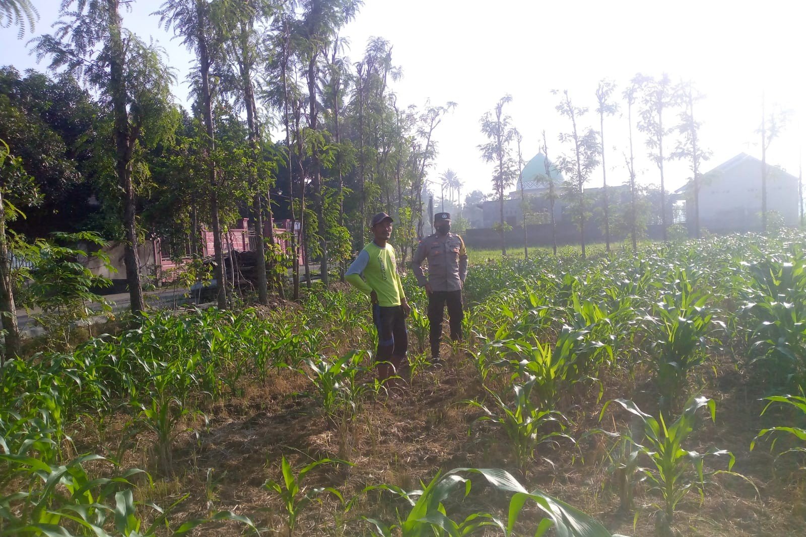 Kolaborasi Polisi dan Petani di Jagaraga untuk Wujudkan Lumbung Pangan Lokal