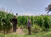 Polsek Kuripan Dorong Ketahanan Pangan Desa Jagaraga Lombok Barat