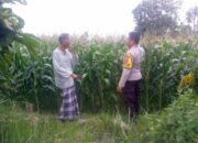 Polri Hadir Bantu Petani Jagaraga Tingkatkan Produktivitas Lahan Pertanian