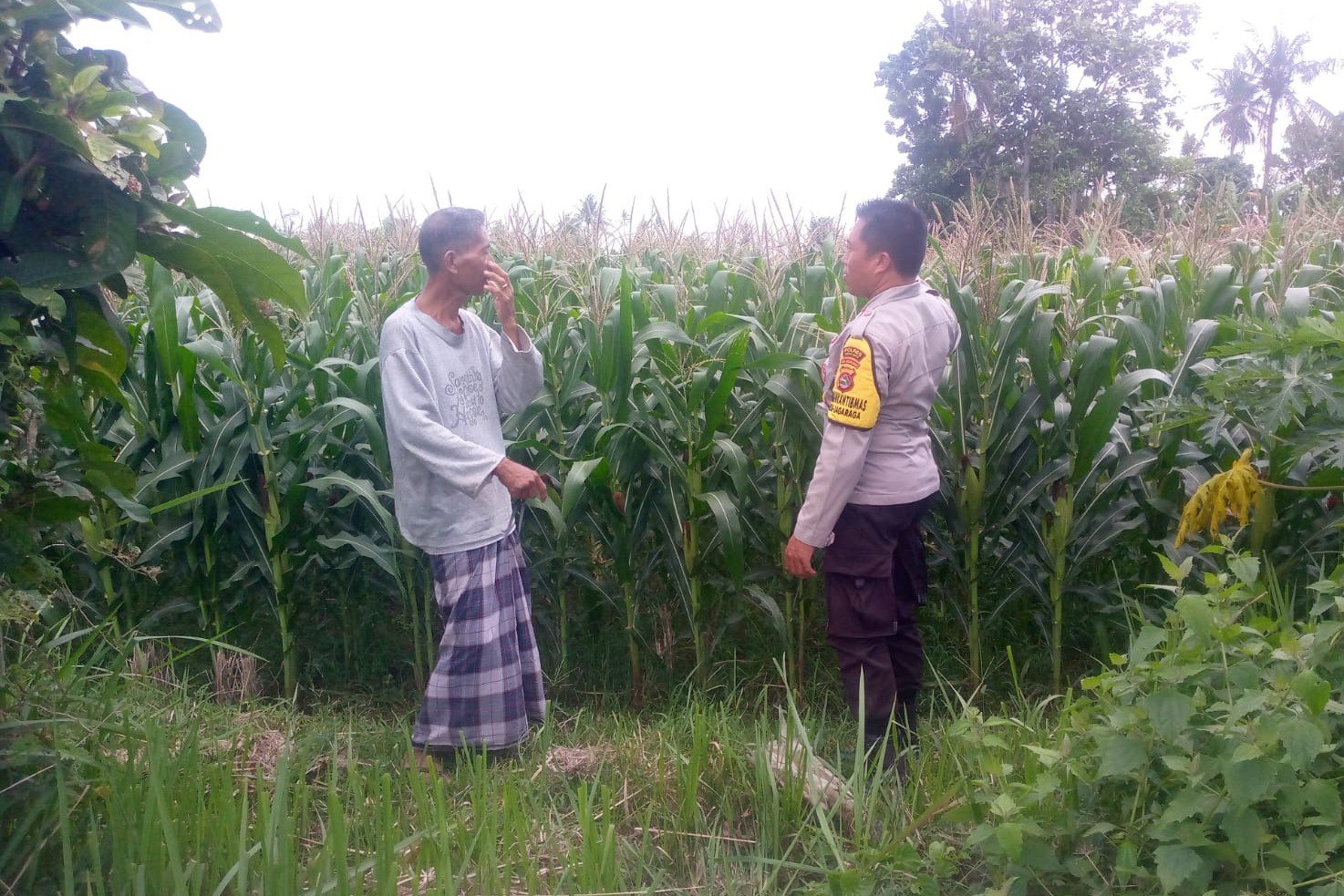 Polri Hadir Bantu Petani Jagaraga Tingkatkan Produktivitas Lahan Pertanian