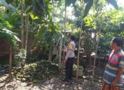 Ketahanan Pangan Dimulai dari Desa: Polsek Kuripan Sosialisasi Pemanfaatan Pekarangan