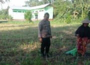 Kunjungan Humanis Bhabinkamtibmas di Kuranji, Pekarangan Jadi Sumber Pangan